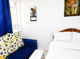 Annie's studio near Westside mall
