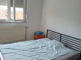njegoševa