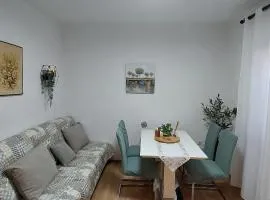 Apartment Grapevine