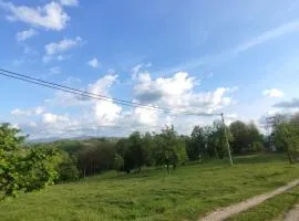 Dragačevska kuća na bregu- Heritage House