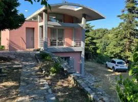 Seta Forest House