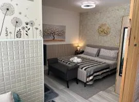 Studio apartment in Fossato di Vico