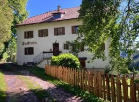 Sallrain Hof Apartment 1
