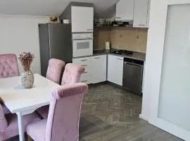 The Gold Lion Apartment