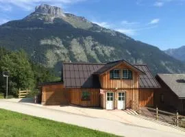 Apartment Altaussee