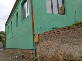 Loria's green, cozy house, hotel a Telavi