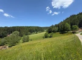 House on the edge of the forest in La Claquette