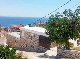 Volcanic Stone Cottage Sea View & Yard