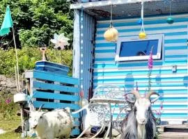 Treguth Glamping Unique Experience - Themed Huts
