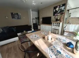 Narva Art Cat Apartment