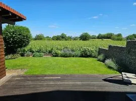 Pfälzerglück Ferienhaus direkt am Rebenmeer