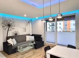 Serce Kujaw - Włocławek - Apartament Okrężna