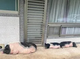 拇指園民宿
