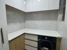 The Moon Apartment