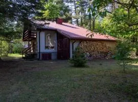 Adamów Family Country Retreat - 75m2, Terrace - by Rentujemy