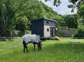 Le Petit Haras De Valmont