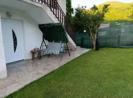 Apartman Dzans