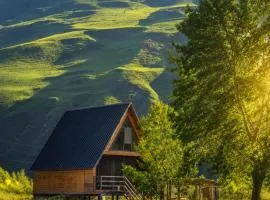 Cottage GORDA Kazbegi