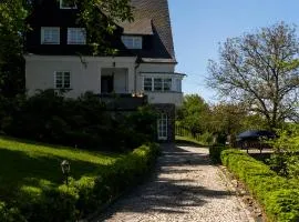 Vila Vlasta