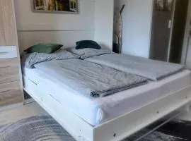 Ferienwohnung im Schwarzwald mit Blick ins Grüne und Balkon