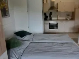 Ferienwohnung im Schwarzwald mit Blick ins Grüne und Balkon