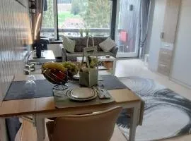 Ferienwohnung im Schwarzwald mit Blick ins Grüne und Balkon