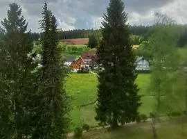 Ferienwohnung im Schwarzwald mit Blick ins Grüne und Balkon