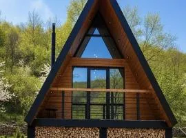 Приватна садиба Forest House