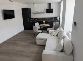 L'Écrin d'Ingersheim, T2 neuf & climatisé proche Colmar