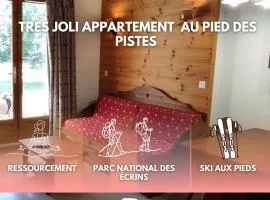 Appartement cosy au pied des pistes de Pelvoux-Vallouise - Parc national des Écrins