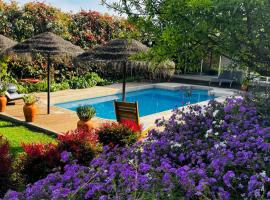Countryside Villa near Porto, hotel u gradu Paredes