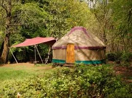 Adhurst Yurts