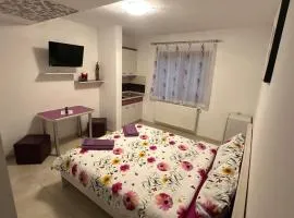 Villa Miriam