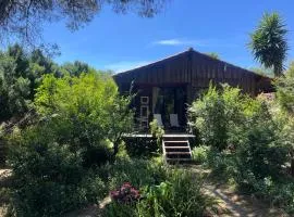 Pine Lodge - direct train to Porto