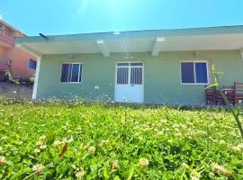 Olive GREEN house