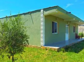 Olive GREEN house
