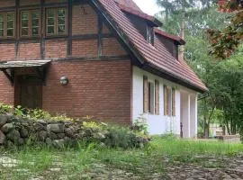Alleinlage in der Natur