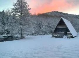 Chalet atypique en A lArmorique en pleine nature