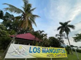 Restaurante - Hotel Los Manguitos