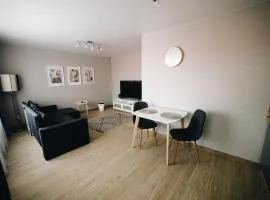 LK Darzu Apartment