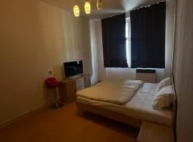Bright Room in Shared Apartment Letna Near Prague City Center