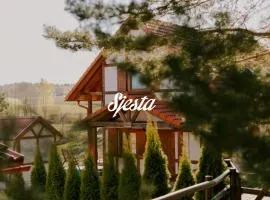 Kaszubska Ostoja 155