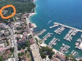 Shark Herceg Novi