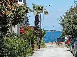 Dal urla