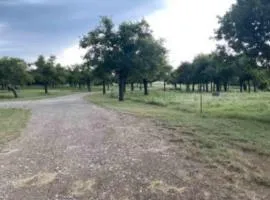 Expansive Getaway Near Downtown with Fast WiFi, Grill