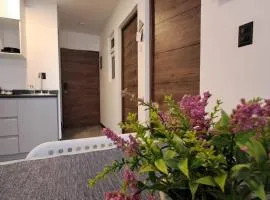 7min del Parque Central, céntrico, impecable, parqueo Apto de 2 Habitaciones