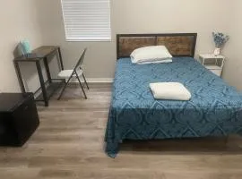 Dolphin Room