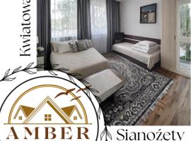Pokoje Gościnne AMBER, hotel a Sianozety