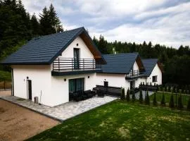 Domki Leśne Zacisze