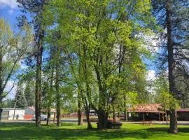cedar village motel